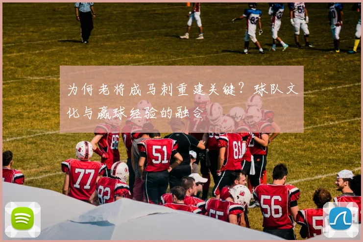 为何老将成马刺重建关键？球队文化与赢球经验的融合